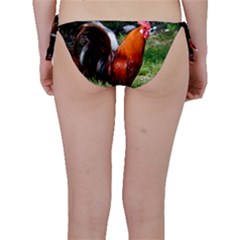 Bikini Bottoms 