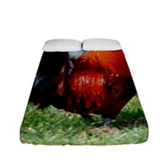 Fitted Sheet (Full/ Double Size) 