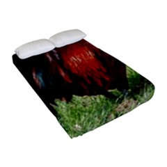 Fitted Sheet (Full/ Double Size) 