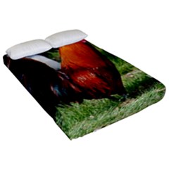 Fitted Sheet (California King Size) 