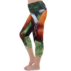 Capri Winter Leggings Back Capri Winter Leggings Back