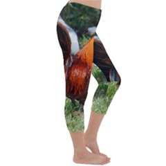 Capri Winter Leggings  