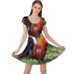 Rooster Cap Sleeve Dress
