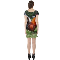Short Sleeve Skater Dress Back Short Sleeve Skater Dress Back