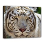 White Tiger 2 Canvas 20  x 16  (Stretched)