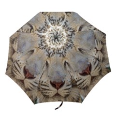 Folding Umbrella 
