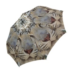 Folding Umbrella 