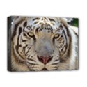 Deluxe Canvas 16  x 12  (Stretched)  
