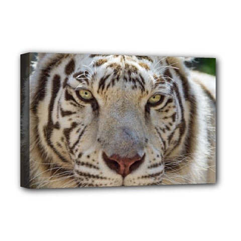 White Tiger 2 Deluxe Canvas 18  x 12  (Stretched) from ArtsNow.com