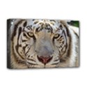 Deluxe Canvas 18  x 12  (Stretched) 