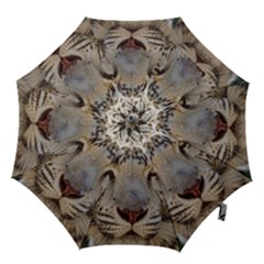 Hook Handle Umbrella (Medium) 