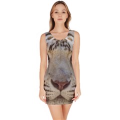 Bodycon Dress 