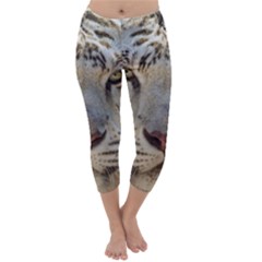 Capri Winter Leggings Front Capri Winter Leggings Front