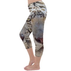 Capri Winter Leggings Back Capri Winter Leggings Back