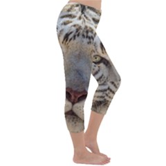 Capri Winter Leggings  