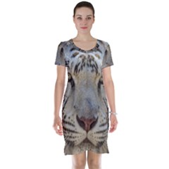 Short Sleeve Nightdress 