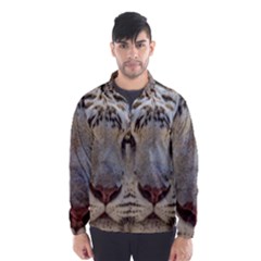 Men s Windbreaker 