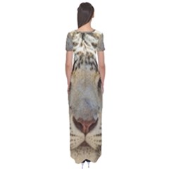 Short Sleeve Maxi Dress 