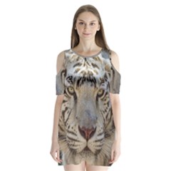 White Tiger 2 Shoulder Cutout Velvet  One Piece from ArtsNow.com