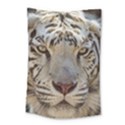 Small Tapestry Preview 1