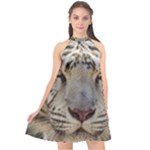 White Tiger 2 Halter Neckline Chiffon Dress 