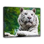 White Tiger Canvas 14  x 11  (Stretched)