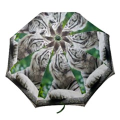 Folding Umbrella 