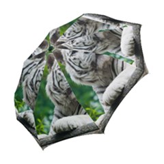 Folding Umbrella 