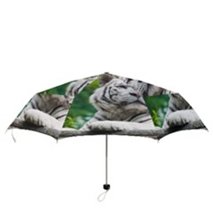 Folding Umbrella 