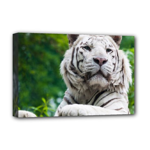 White Tiger Deluxe Canvas 18  x 12  (Stretched) from ArtsNow.com