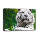 Deluxe Canvas 18  x 12  (Stretched) 