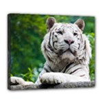 White Tiger Deluxe Canvas 24  x 20  (Stretched)