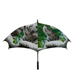Golf Umbrella 