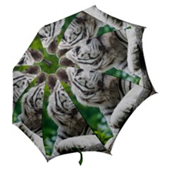 Hook Handle Umbrella (Large) 