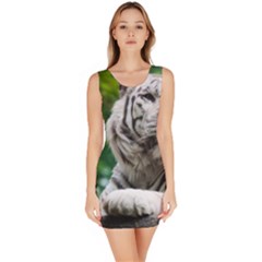 Bodycon Dress 