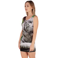 Bodycon Dress 