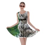 White Tiger Skater Dress