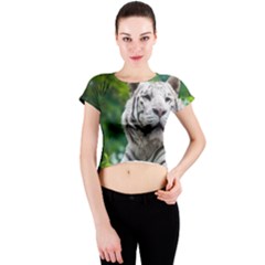 Crew Neck Crop Top 