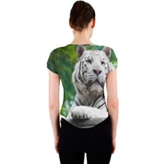 Crew Neck Crop Top 