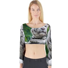 Long Sleeve Crop Top 