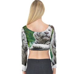 Long Sleeve Crop Top 