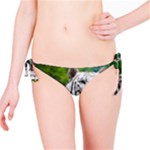 White Tiger Bikini Bottom