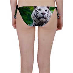 Bikini Bottoms 