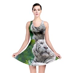 Reversible Skater Dress 