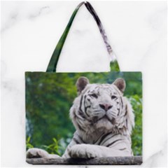 Mini Tote Bag 