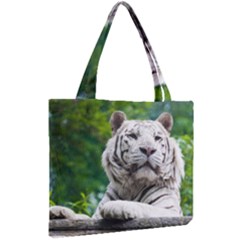 Mini Tote Bag 