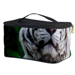 Cosmetic Storage Case 