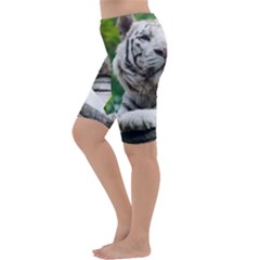Cropped Leggings  