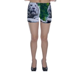 Skinny Shorts Back Skinny Shorts Back
