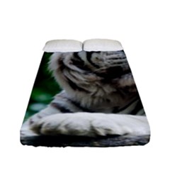 Fitted Sheet (Full/ Double Size) 